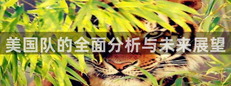 2026世界杯小组赛赛程时间表：美国队的全面分析与未来展望