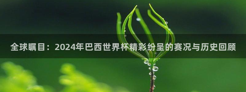 亚洲杯比赛直播：全球瞩目：2024年巴西世界杯精彩纷呈的赛况与历史回顾