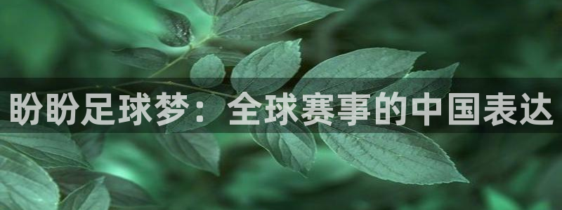 2026世界杯亚洲区预选赛赛程：盼盼足球梦：全球赛事的中国表达