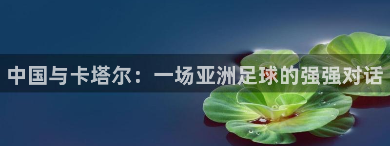 2026世界杯直播：中国与卡塔尔：一场亚洲足球的强强对话