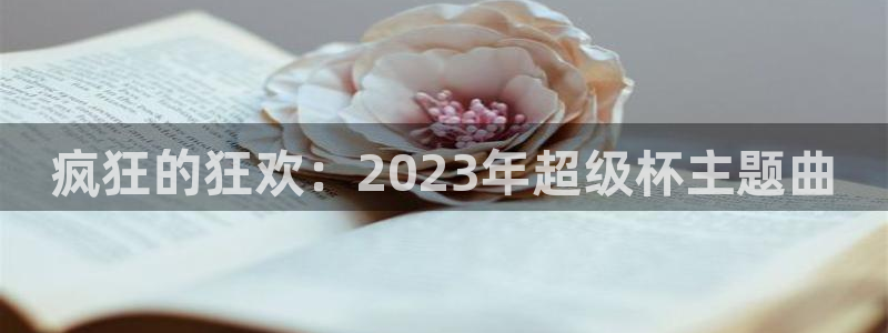 亚洲杯比赛直播：疯狂的狂欢：2023年超级杯主题曲