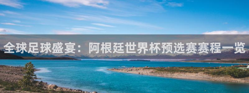 2026世界杯官网：全球足球盛宴：阿根廷世界杯预选赛赛程一览