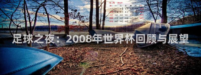 国际足联世界杯：足球之夜：2008年世界杯回顾与展望