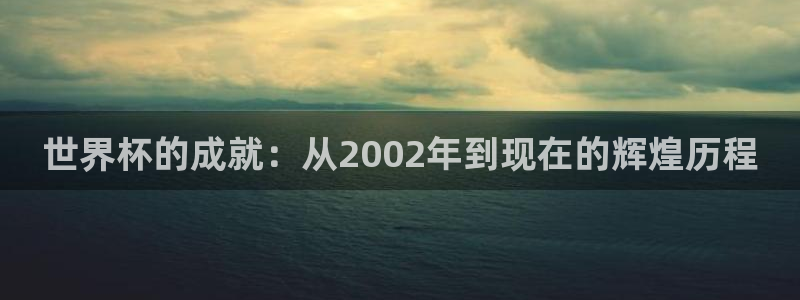 世界杯比赛赛程：世界杯的成就：从2002年到现在的辉煌历程