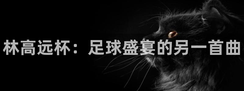 2026足球世界杯赛程：林高远杯：足球盛宴的另一首曲