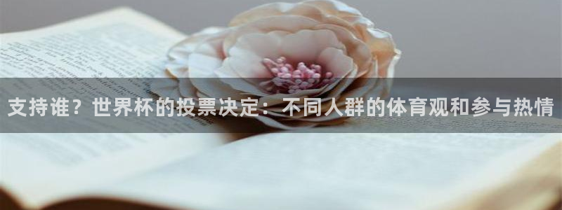 世预赛直播：支持谁？世界杯的投票决定：不同人群的体育观和参与热情