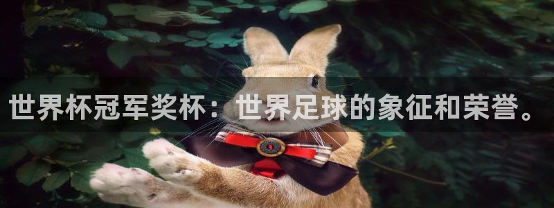 世界杯预选赛亚洲区积分榜：世界杯冠军奖杯：世界足球的象征和荣誉。